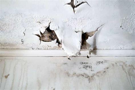 How To Identify Water Damage At Home First Response