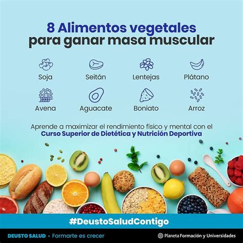 Alimentos Vegetales Para Ganar Masa Muscular Dso