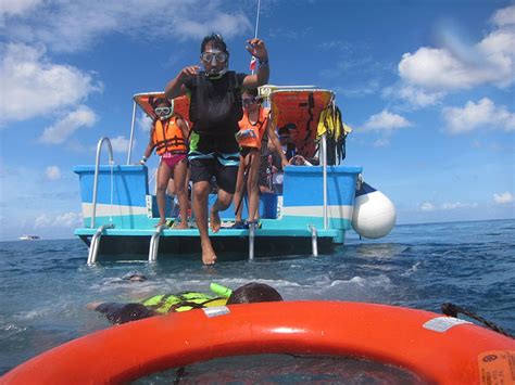 Snorkeling By Vip Glass Bottom Boat At Cozumel Starting From Cancun