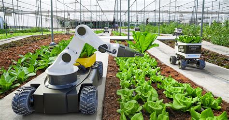 Industry Insights: Agtech: Automation of Agriculture | Association for ...