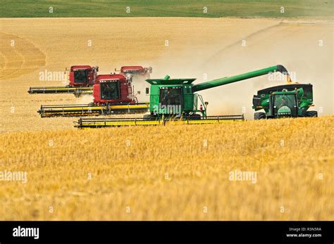 Saskatchewan Wheat Hi Res Stock Photography And Images Alamy