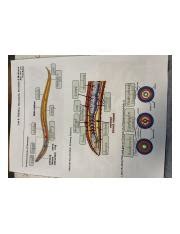 81BFBB87 4AFB 491E A384 330F6FDD3BC6 Jpeg Lab 8 Rotifera Nematoda