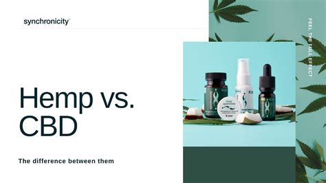 Hemp Oil Vs Cbd Oil What S The Difference Youtube