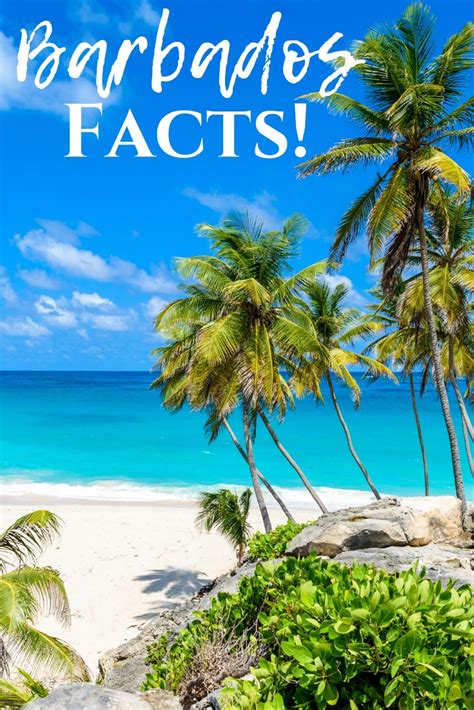 Barbados Facts Interesting Facts About This Caribbean Island