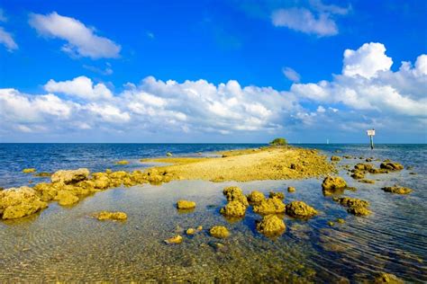 Pristine Places For Snorkeling In Florida Florida Trippers