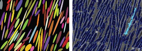 visual representation  attributes major axis minor axis