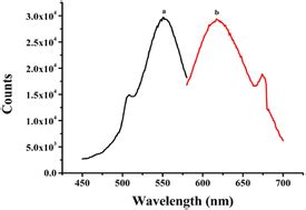 A Label Free Aptasensor For The Detection Of Atp Based On Turn On