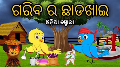 ଗରବ ର ଛଡଖଇ Chhadakhai Tiki Chadhei Odia Gapa Odia Bird Story