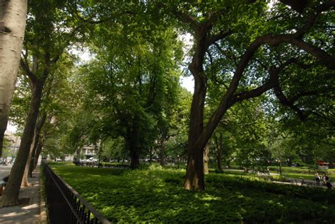 Theodore Roosevelt Park Highlights : NYC Parks