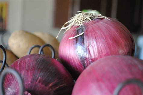 Onion Spacing Tips And Tricks Properly Rooted