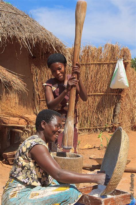 Malawian Women Prepare Casava In A Village In Northern Malawi African Tribal Girls African