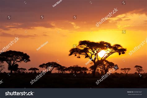 44,316 African safari sunset Images, Stock Photos & Vectors | Shutterstock