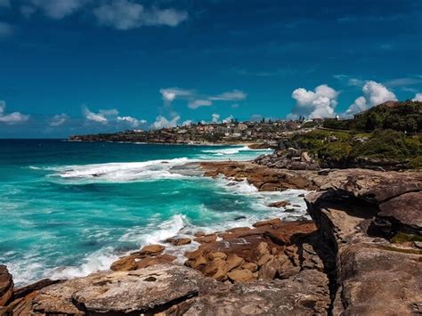 Premium Photo | Bondi to coogee walk