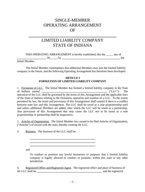 Single Member Limited Liability Company LLC Operating Agreement