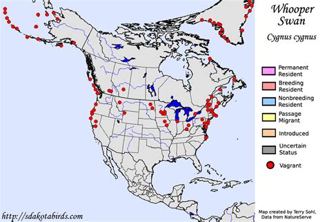 Whooper Swan - Species Range Map