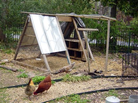 Chicken Coops For Backyard Flocks Hgtv