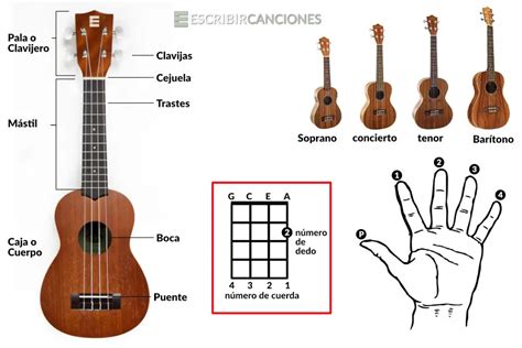 Comparaci N Sonido Guitarra Viol N Y Flauta Vanessa Mae