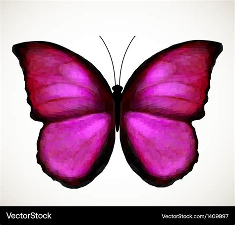 Bright Pink Butterfly Royalty Free Vector Image