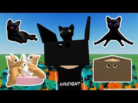 RAPIDO RECLAMA NUEVOS GATOS DE MALA SUERTE GRATIS EN ROBLOX YouTube