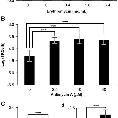 Effect Of Mitochondrial Functional Integrity And Ssd Mutation On