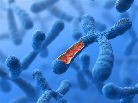 Types of Chromosomes