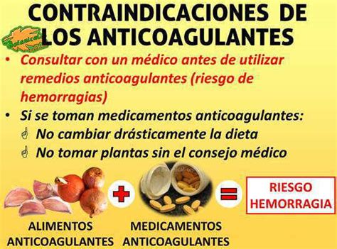 Propiedades De Las Frutas Botanical Online