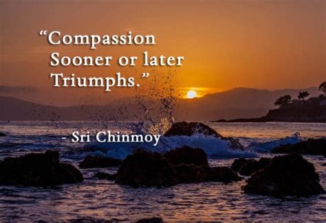 Quotes on compassion -Sri Chinmoy Quotes