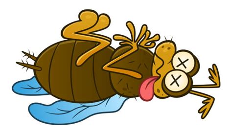 Best Dead Bug Illustrations, Royalty-Free Vector Graphics & Clip Art - iStock