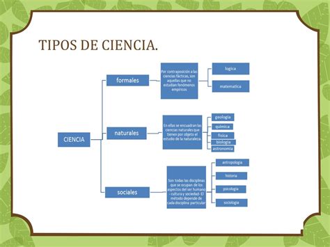 Ciencias Naturales Tipos De Ciencia By Gaby Noriega Issuu