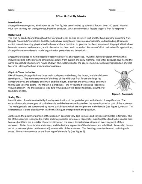 Ap Lab 12 Fruit Fly Behavior