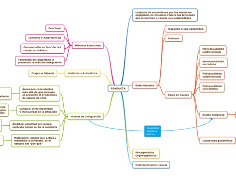 Conducta Mind Map