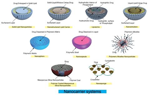 Nanocarrier Systems In Taste Masking Pharma Excipients