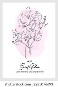 Sweet Pea April Birth Month Flowers Stock Vector Royalty Free