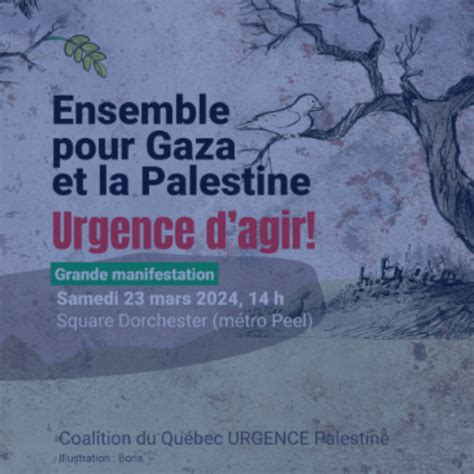 Appel La Mobilisation Ensemble Pour Gaza Et La Palestine Ensemble