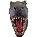 Amazon Dwk Tyrannosaurus Rex Head Bust Large Sculpture Dinosaur