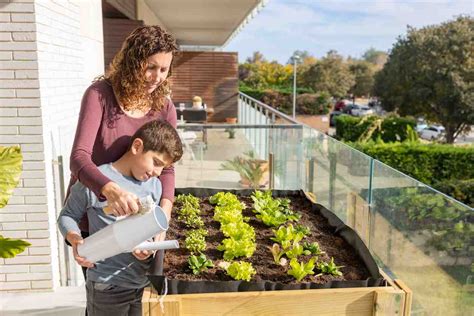 Potager Sur Le Balcon Ou Sur La Terrasse Conseils Pour Le D Buter