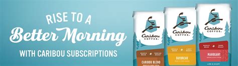 Caribou Coffee® Teas Caribou Coffee