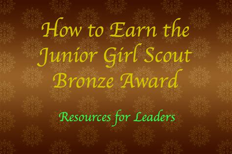 Girl Scout Bronze Award Ideas