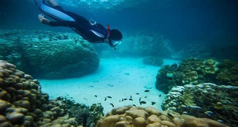 Underwater-world-Langkawi