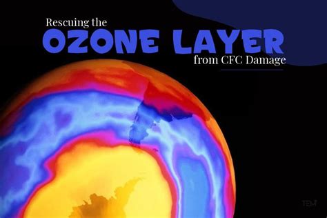 Rescuing the Ozone Layer from CFC Damage | The Education Magazine