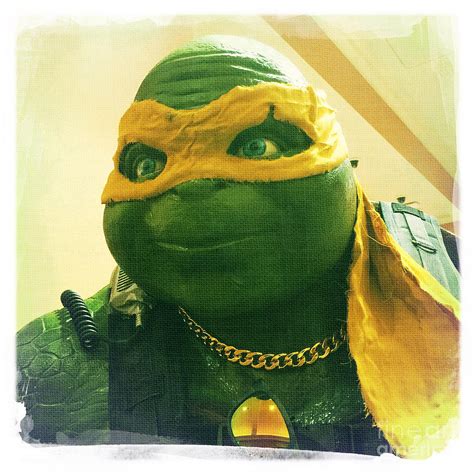 Teenage Mutant Ninja Turtle Photograph by Nina Prommer - Pixels