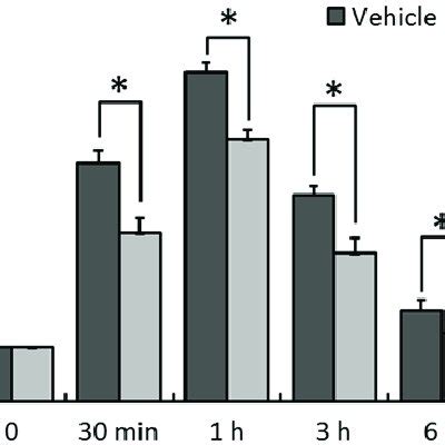 Effect Of Skf On Ca Homeostasis In Mpp Treated Pc Cells