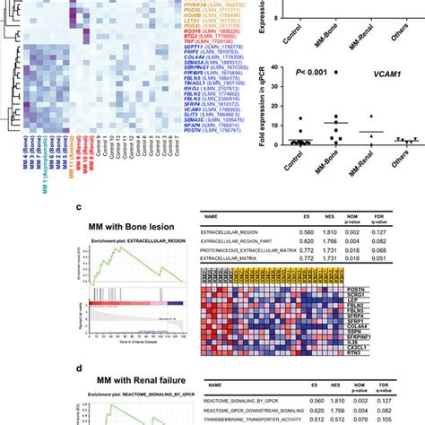 Gene Expression Profiles Of Bone Marrow Stromal Cells From Multiple Download Scientific Diagram