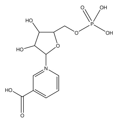 Nicotinic Acid Sigma Aldrich