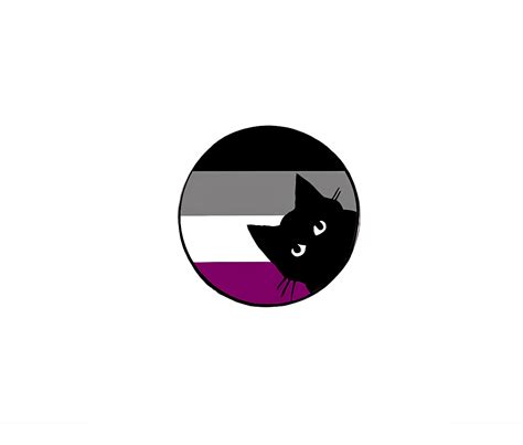 Black Cat Asexual Pin Proud Lgbt 🏳️‍🌈