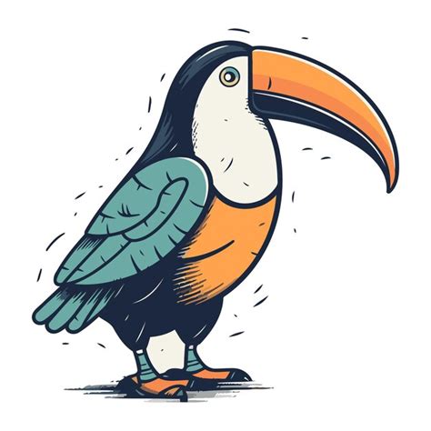 Tucano isolado em fundo branco ilustração vetorial desenhada à mão