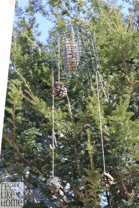 Pine Cone Bird Feeder Craft | Feels Like Home™