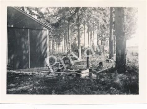 FOTO WK II Wehrmacht Soldaten Lager Luftwaffe 1942 Russland Псков