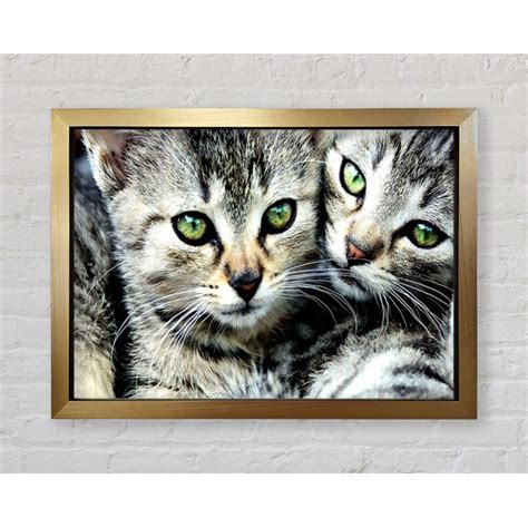 Bright Star Cat Brothers Drucken Wayfair De