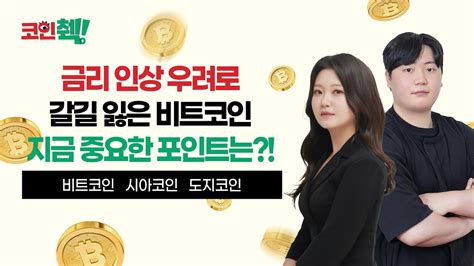 지금 가장 핫한 암호화폐 이슈들 금리 인상 우려로 인한 비트코인 전망 분석 Sto 시아코인 도지코인 등 알트코인 분석